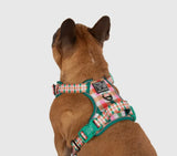 Candy Plaid Adventure All-Rounder Dog Harness By Big & Little Dogs