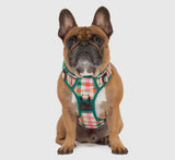 Candy Plaid Adventure All-Rounder Dog Harness By Big & Little Dogs