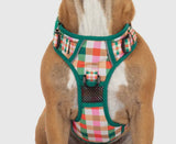 Candy Plaid Adventure All-Rounder Dog Harness By Big & Little Dogs