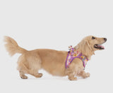 Spring Fling Floral Step In Harness By Big & Little Dogs