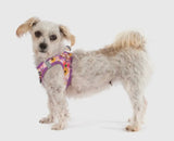 Spring Fling Floral Step In Harness By Big & Little Dogs