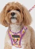 Spring Fling Floral Step In Harness By Big & Little Dogs