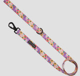 Spring Fling Dog Lead By Big & Little Dogs
