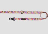 Spring Fling Dog Lead By Big & Little Dogs