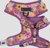 Spring Fling Over The Head Harness By Big & Little Dogs