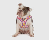 Spring Fling Over The Head Harness By Big & Little Dogs