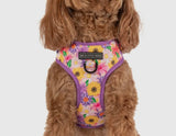 Spring Fling Over The Head Harness By Big & Little Dogs