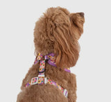 Spring Fling Over The Head Harness By Big & Little Dogs