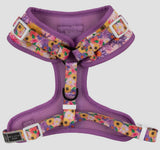 Spring Fling Over The Head Harness By Big & Little Dogs