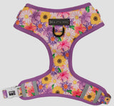 Spring Fling Over The Head Harness By Big & Little Dogs