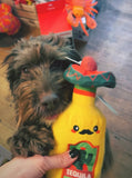 Fiesta Chewsday Tequila Bottle Hidden Dog Toy By Hugsmart