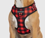 Plaid To The Bone Over The Head Harness By Big & Little Dogs