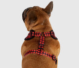 Plaid To The Bone Over The Head Harness By Big & Little Dogs