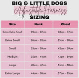 Spring Fling Over The Head Harness By Big & Little Dogs