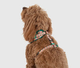 Candy Plaid Over The Head Harness By Big & Little Dogs