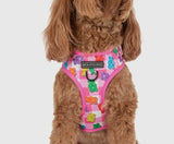 Beary Sweet Over The Head Harness By Big & Little Dogs
