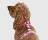Beary Sweet Over The Head Harness By Big & Little Dogs