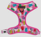 Beary Sweet Over The Head Harness By Big & Little Dogs