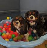 4th Oct Love From Betty Socials Cavalier Crew @ Mi Coffee & Cake Sandhurst
