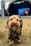 Rainstorm Green Camouflage Print Dog Jacket By Urban Pup