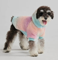 Pastel Icing Blanket Hoodie By Spark Paws