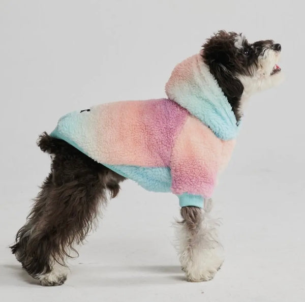 Pastel Icing Blanket Hoodie By Spark Paws