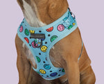 Be Happy Overhead Dog Harness By Big & Little Dogs