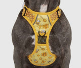 Bee-Hiving Adventure All-Rounder Dog Harness By Big & Little Dogs