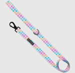 Gingham-Rainbow Dog Lead By Big & Little Dogs