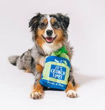 Crunch Bunch Celery Dog Toy by P.L.A.Y