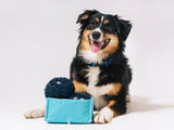 Blueberries Dog Toy by P.L.A.Y