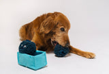 Blueberries Dog Toy by P.L.A.Y
