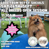 Sat 26th Sept 11.30 Am - Love From Betty Socials All Breeds Open Session @ Mi Coffee & Cake Sandhurst