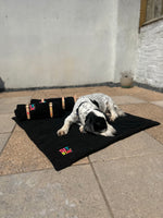 Neon & Black Sit Stay Travel Blanket By The Distinguished Dog Company