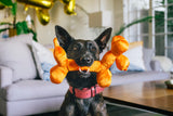 Party Animal Balloon Buddy Toy by P.L.A.Y