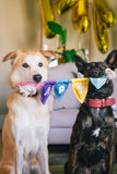 Party Animal Tug Bunting Rope Toy by P.L.A.Y