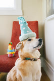 Party Animal Yappy Hat Toy by P.L.A.Y