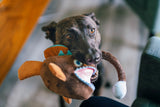 Ocean Buddies Angler Fish Toy By P.L.A.Y