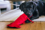 Ocean Buddies Lobster Toy By P.L.A.Y