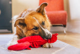 Ocean Buddies Lobster Toy By P.L.A.Y