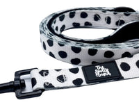 Dixie Dalmatian Dog Lead By The Spotty Hound