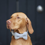 Grey Tweed Dog Bow Tie By Sweet William