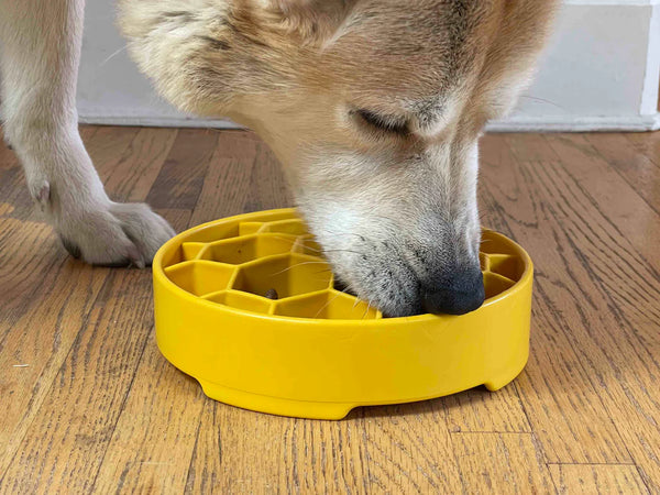 Yellow Honeycomb Design Enrichment Slow Feeder Bowl for Dogs By Soda Pup