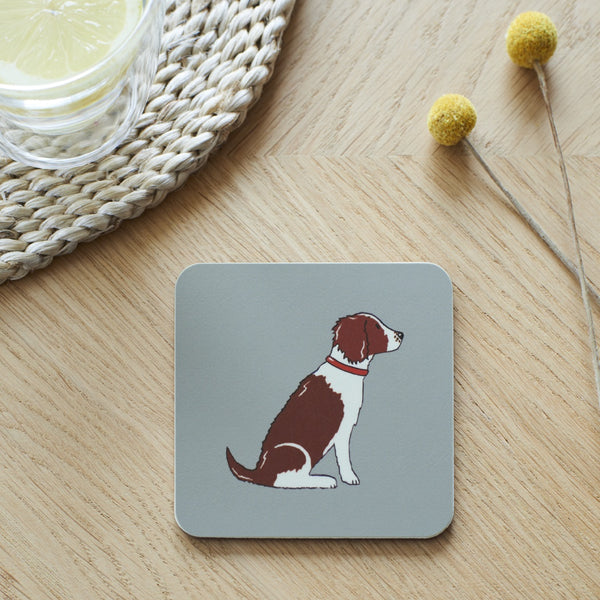 Liver & White Springer Spaniel Dog Coaster By Sweet William