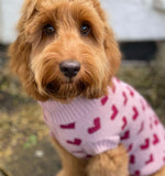 Love Heart Pooch Knitted Sweater By Love From Betty