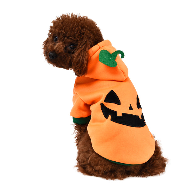 XL XXL Halloween Pumpkin Dog Hoodie By House Of Paws