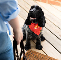 Walkies? Merit Iron On Patch By Scout’s Honour