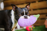 Aubergine Vegetable Plush Dog Toy by P.L.A.Y