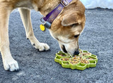 Green Mandala Design eTray Enrichment Tray for Dogs By Soda Pup