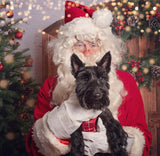 Santa Paws Festive Christmas Party Sunday 14th Dec @ Mi Coffee & Cake
